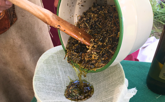 The Tribal Miracle Plant Recipe to Banish Nerve Pain!