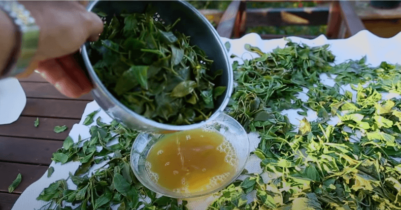 The Mystical Costa Rican All Slimming Recipe!